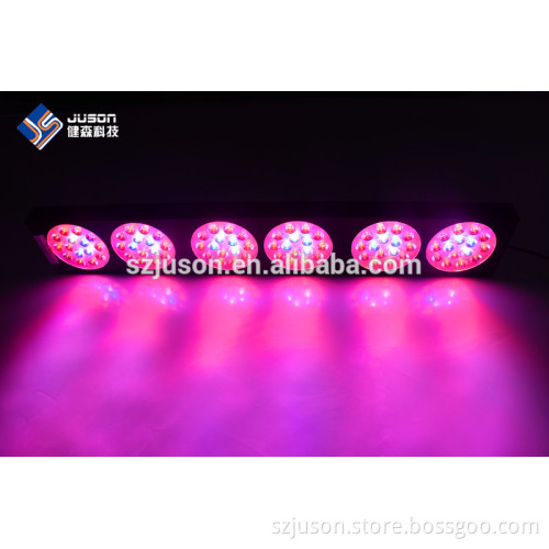 High Lumen 300W LED Grow Light For Indoor Hydroponic Plant Lighting